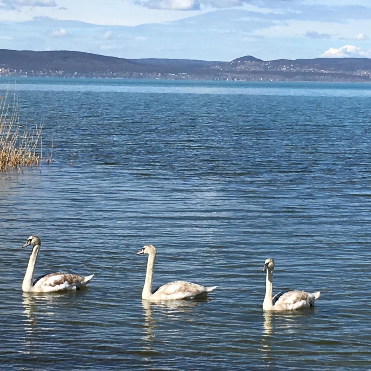 Beach Resident Balatonszemes Bagian luar foto